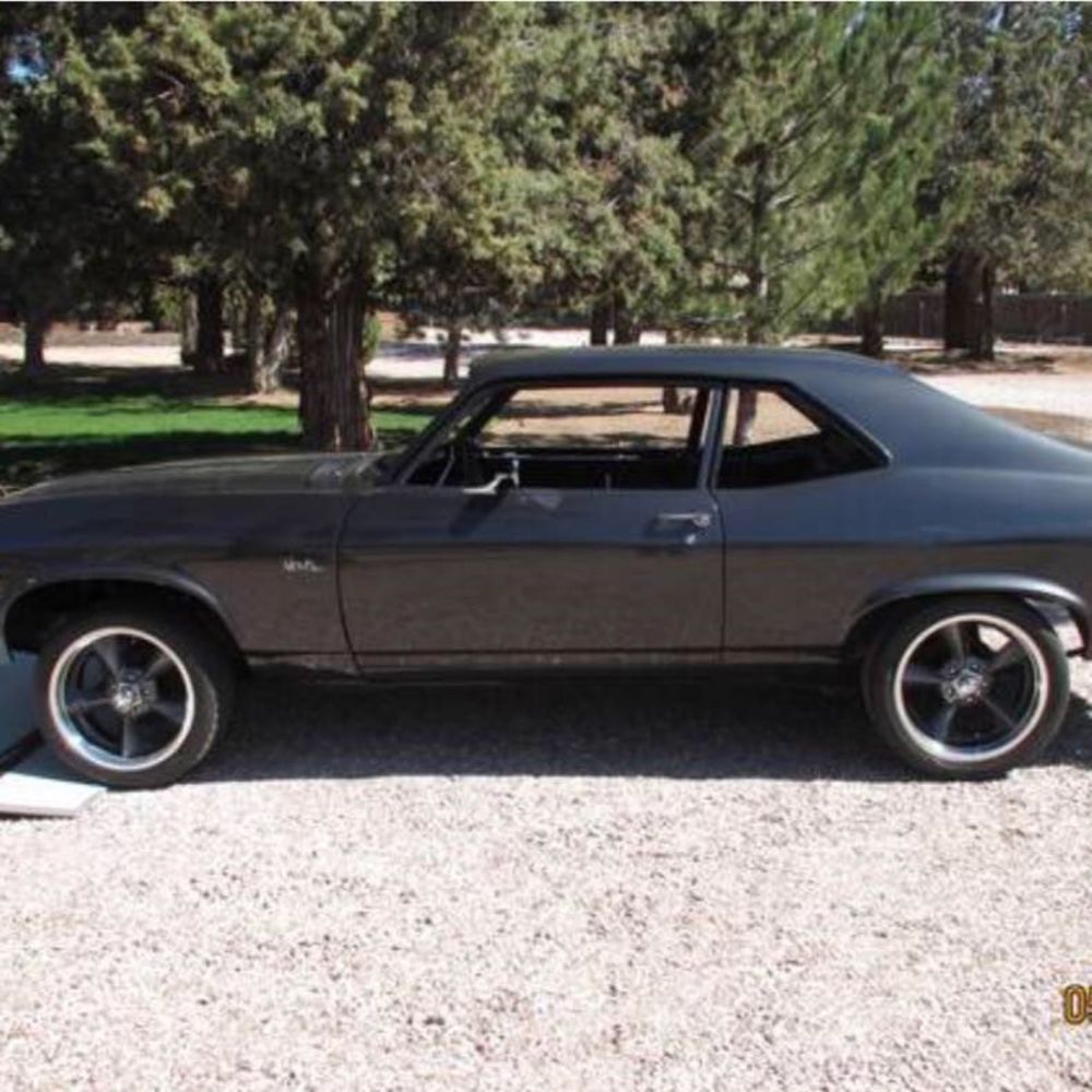 Meet your Posher, Albert